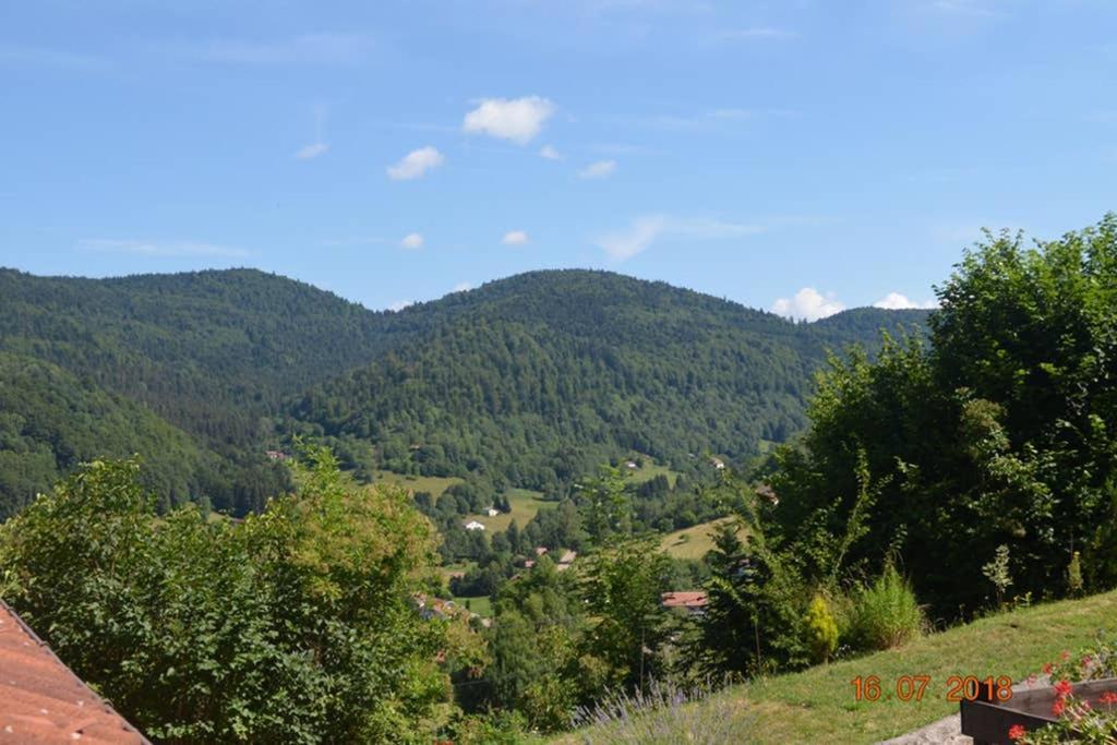 Gite Bussang Vakantiehuis *